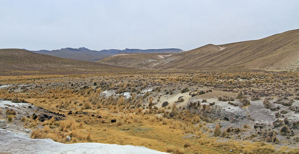 Arequipa o que fazer - reserva salinas